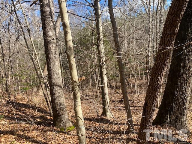 1201 Embro-Odell Road Littleton, NC 27850 - Photo 10 of 20 Gallery Image 10