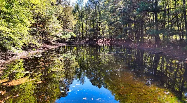 $230,000 | 0 Highway Coxburg Road, Holladay, TN 38341