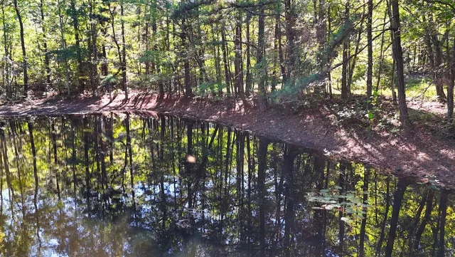 $230,000 | 0 Highway Coxburg Road, Holladay, TN 38341