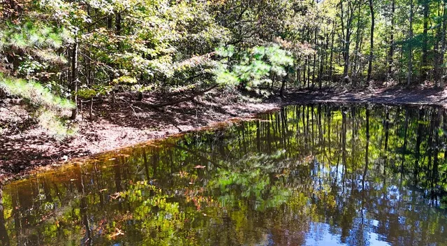 $230,000 | 0 Highway Coxburg Road, Holladay, TN 38341