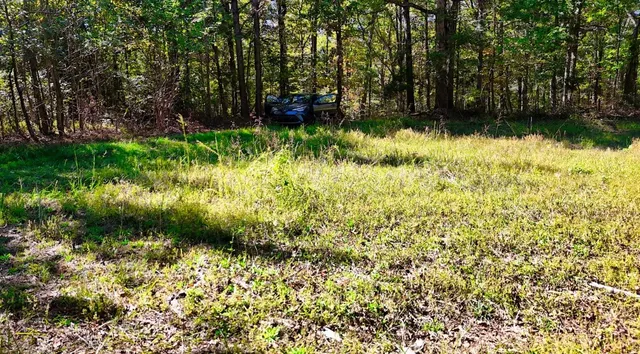 $230,000 | 0 Highway Coxburg Road, Holladay, TN 38341