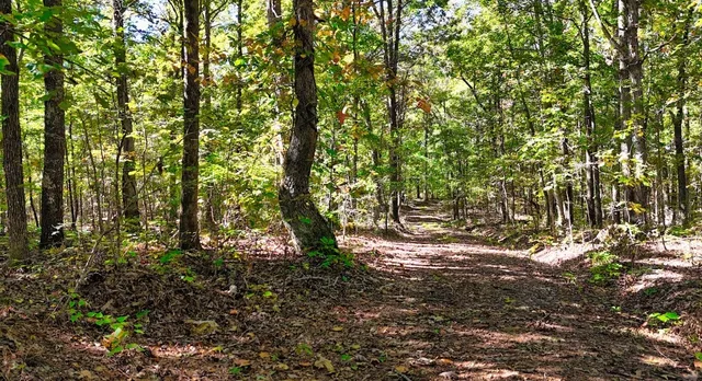 $230,000 | 0 Highway Coxburg Road, Holladay, TN 38341
