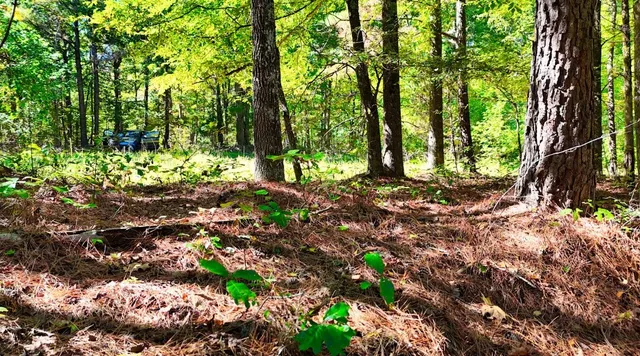 $230,000 | 0 Highway Coxburg Road, Holladay, TN 38341