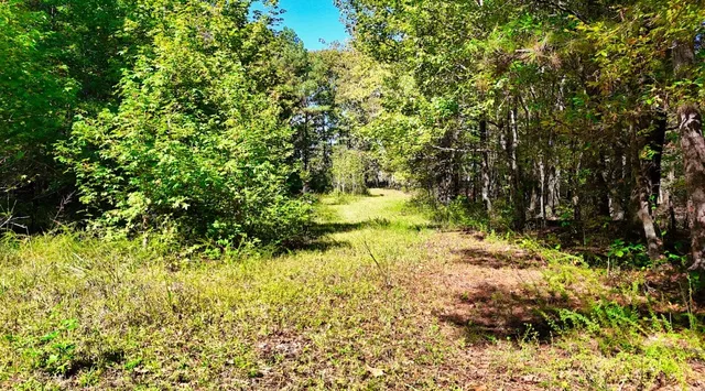 $230,000 | 0 Highway Coxburg Road, Holladay, TN 38341