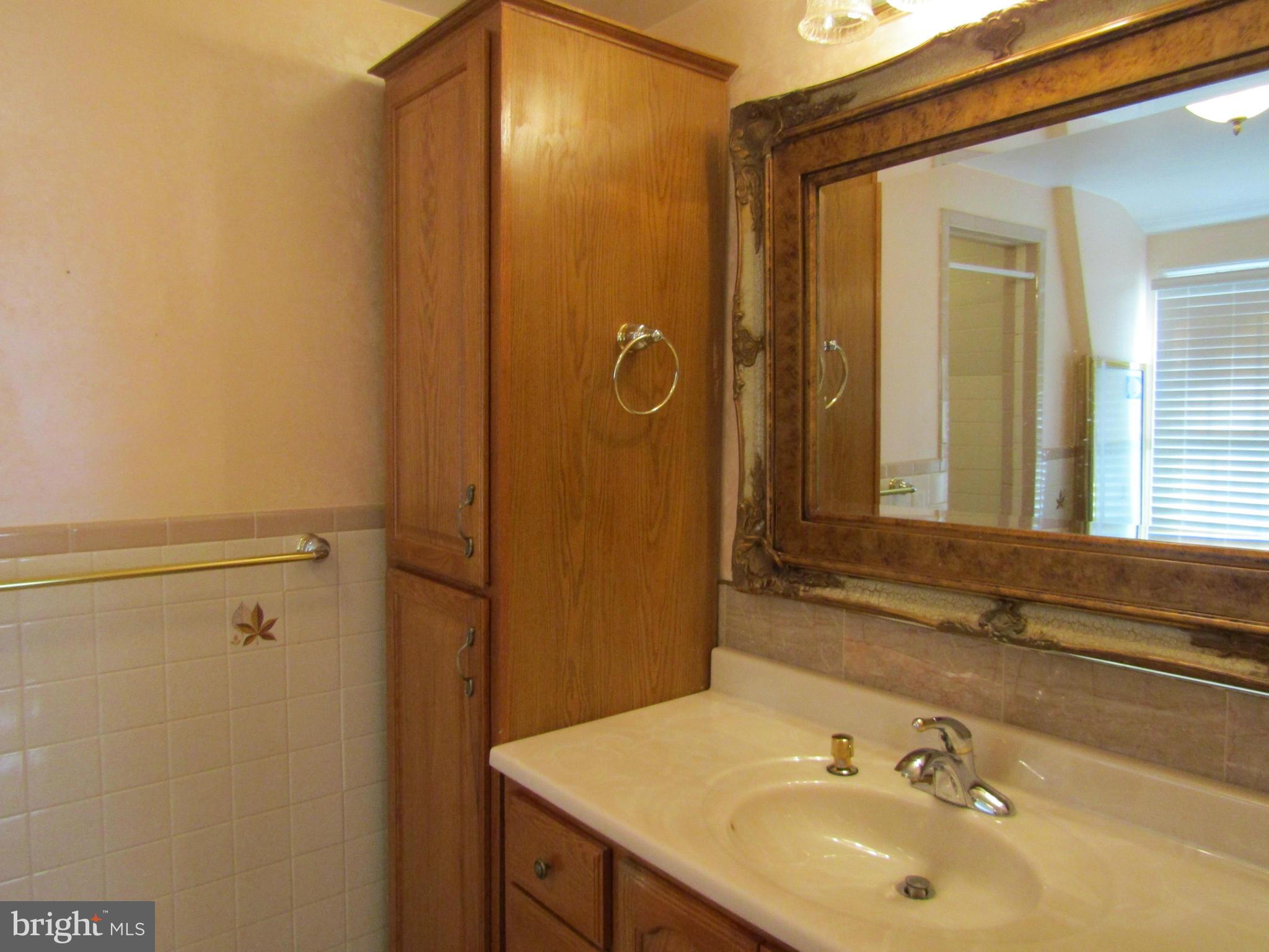 2424 Coon Club Road Westminster, MD 21157 - Photo 10 of 25 Bath (Master)