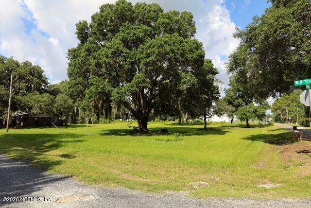0 Will Young Road Yulee, FL 32097 - Photo 3 of 6 2