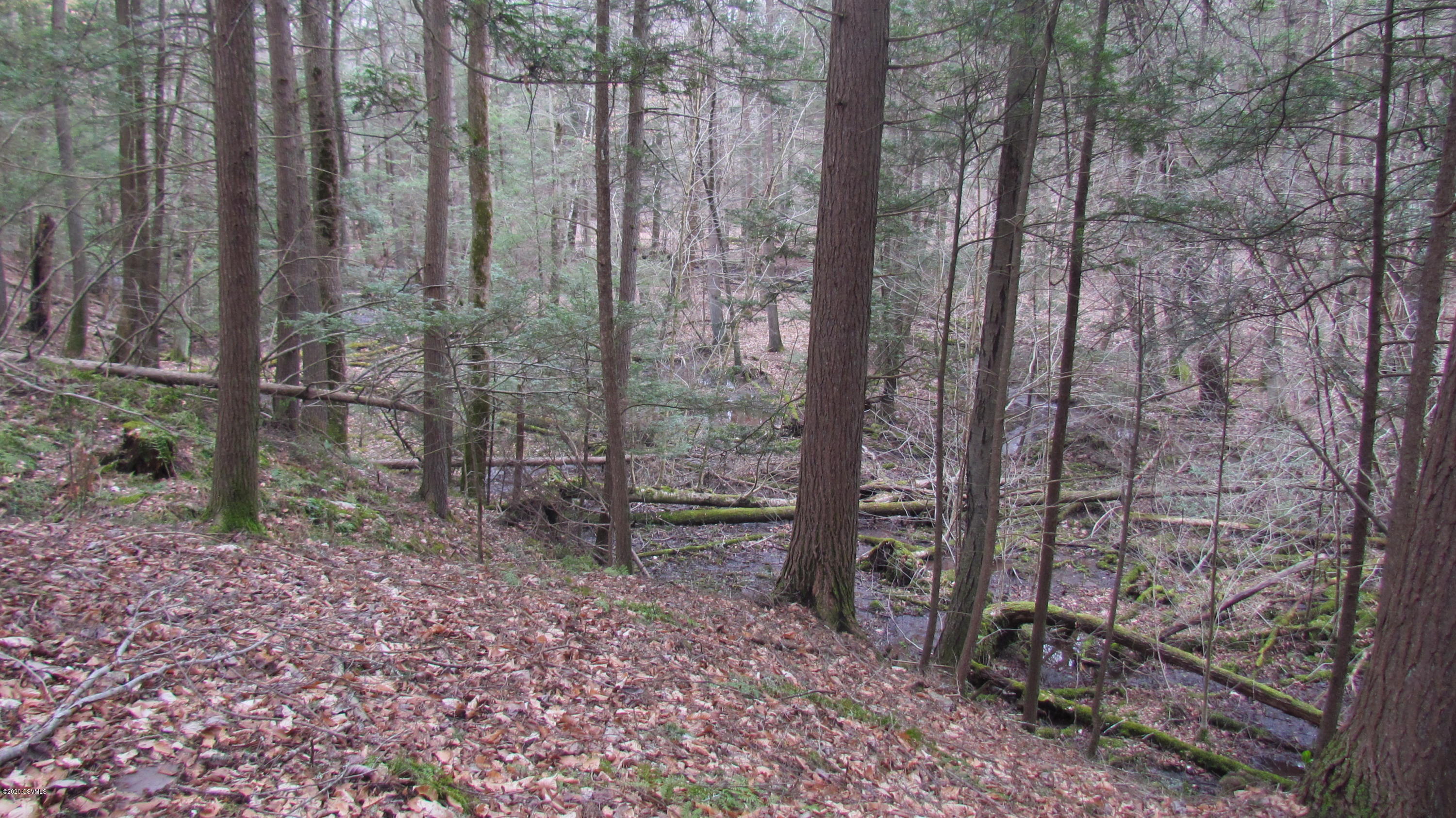 Mountain Rd Road Shickshinny, PA 18655 - Photo 21 of 27