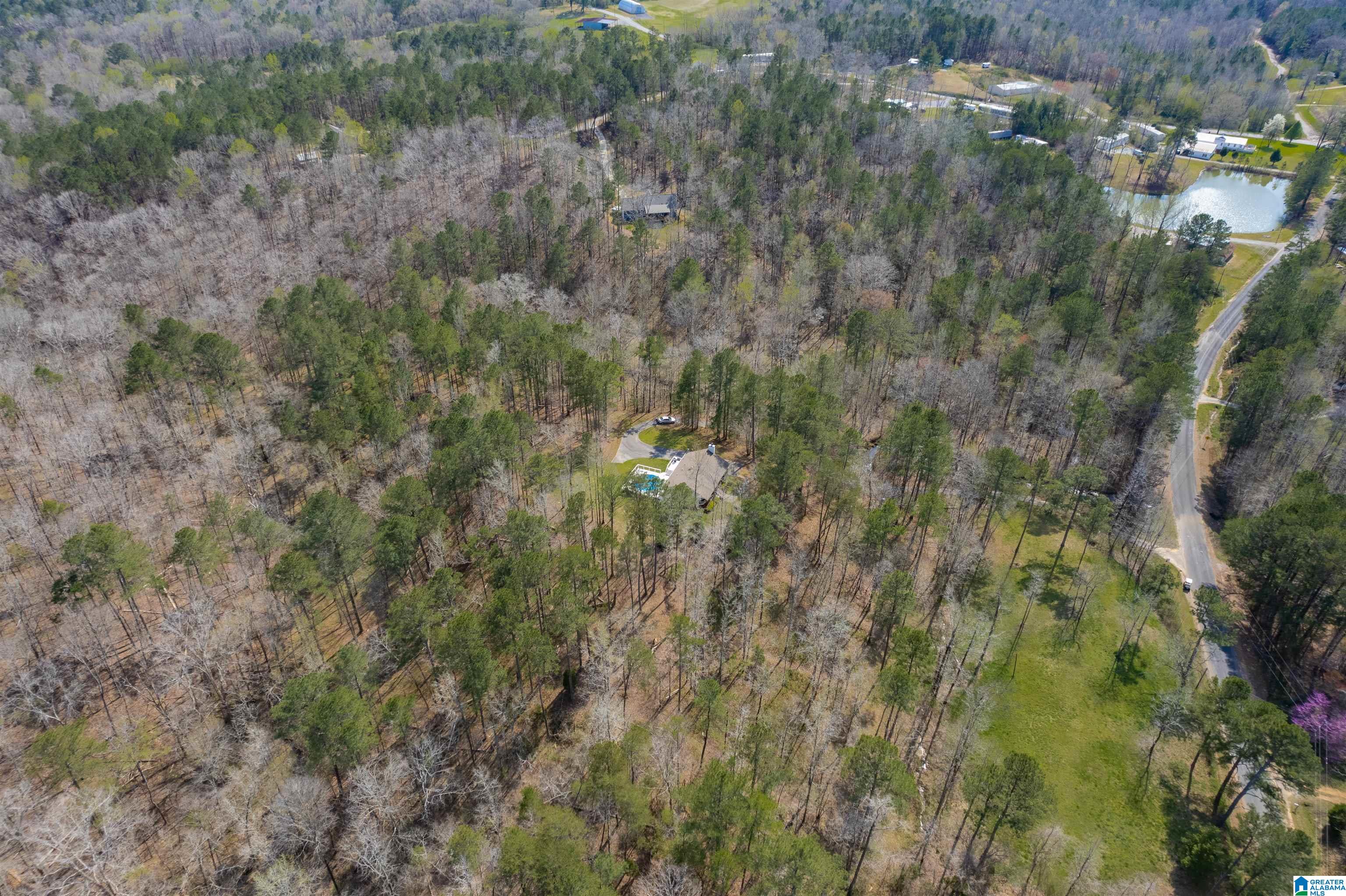 184 Sequoyah Road Pell City, AL 35128 - Photo 33 of 46