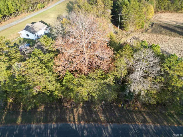 a view of a lake with a tree