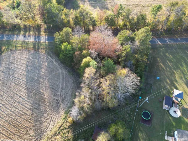 a view of a tree in a yard