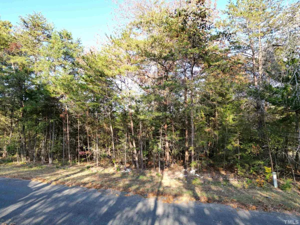 a view of a yard with a tree