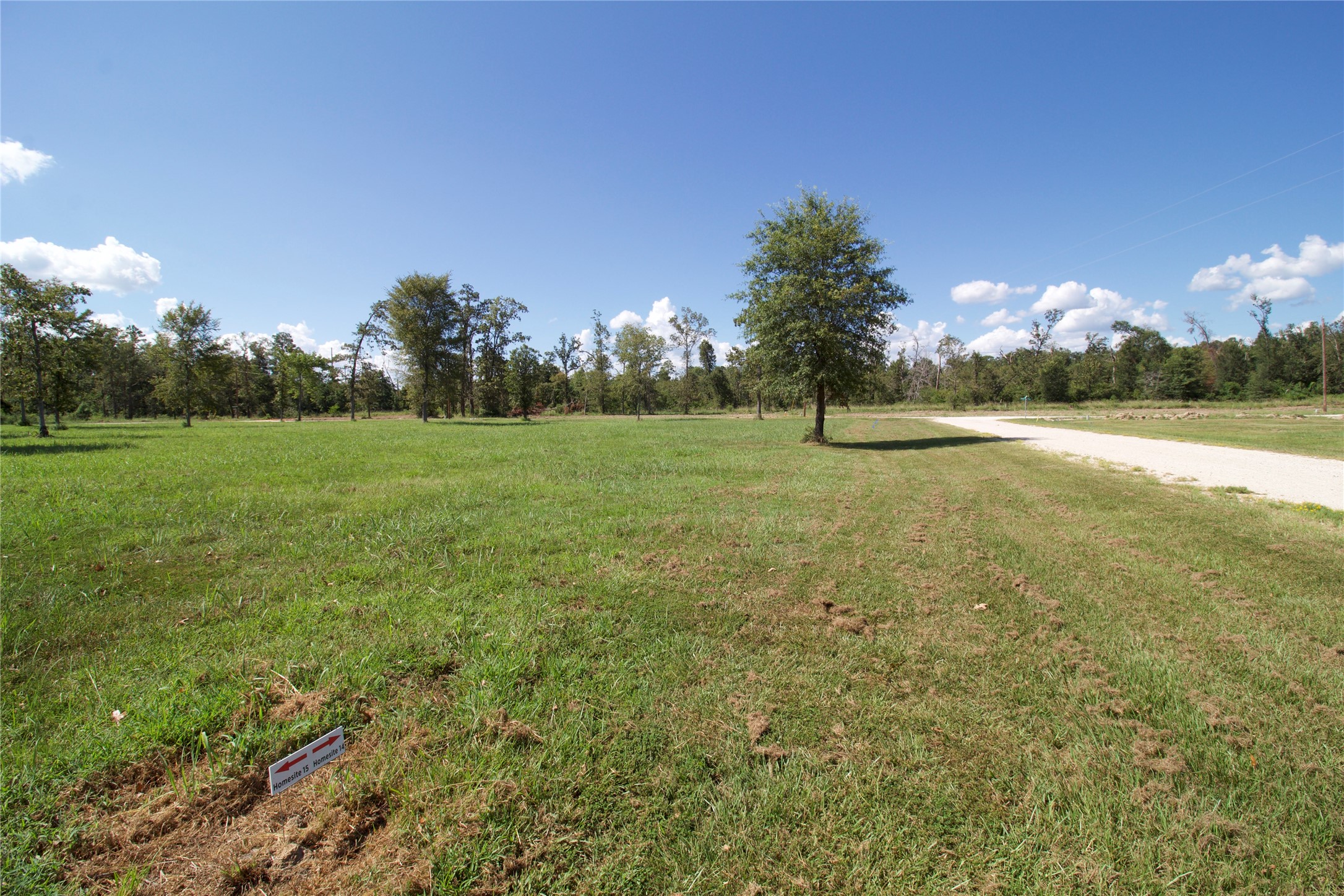 36 Falcon Point Onalaska, TX 77360 - Photo 6 of 7 a view of an outdoor space and yard