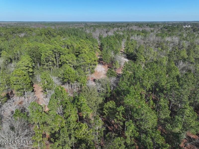 Tbd Tbd Canady Road Harrells, NC 28444 - Photo 1 of 24 81 +/- Acres Cannady Rd Sampson County