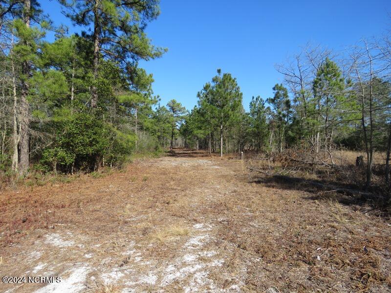 Tbd Tbd Canady Road Harrells, NC 28444 - Photo 23 of 24 IMG_7476