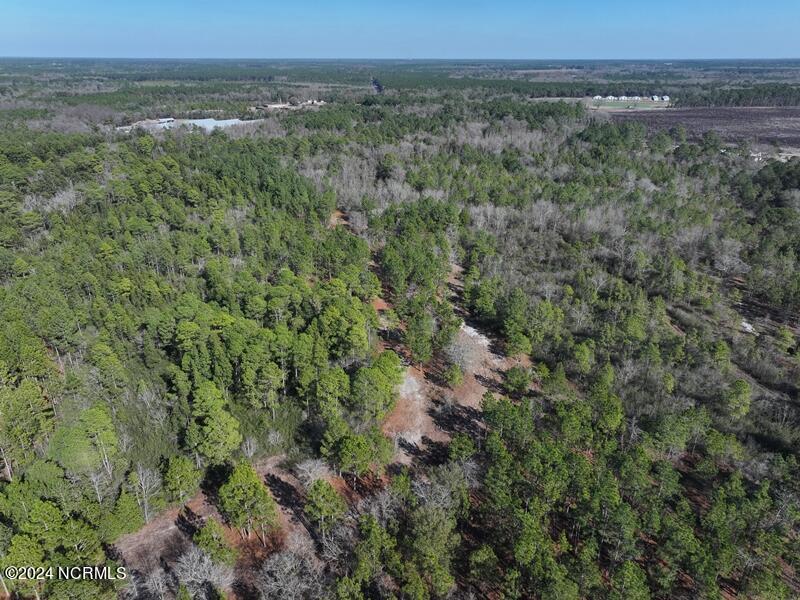 Tbd Tbd Canady Road Harrells, NC 28444 - Photo 24 of 24 last
