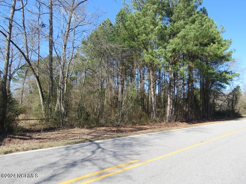 Tbd Tbd Canady Road Harrells, NC 28444 - Photo 3 of 24 3