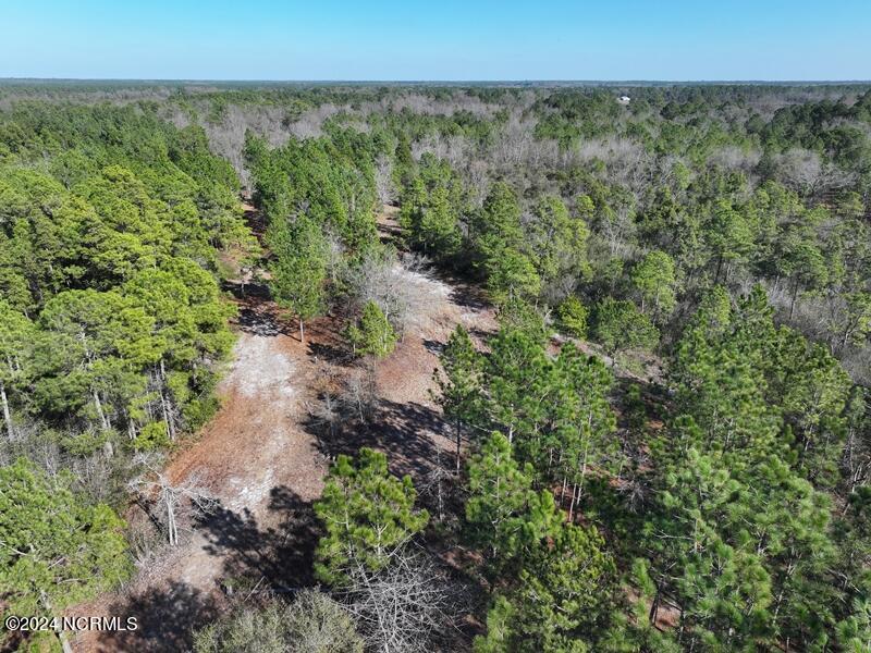 Tbd Tbd Canady Road Harrells, NC 28444 - Photo 4 of 24 DJI_20240201140832_0072_D