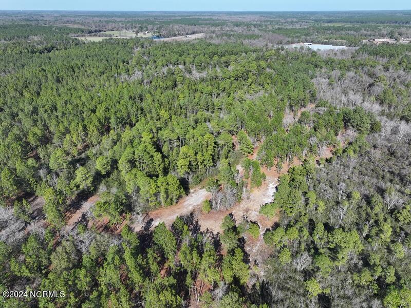 Tbd Tbd Canady Road Harrells, NC 28444 - Photo 5 of 24 DJI_20240201140908_0075_D