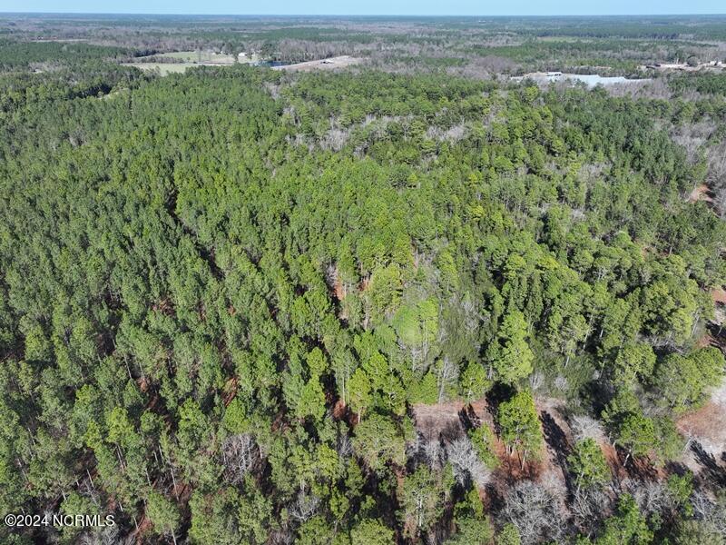 Tbd Tbd Canady Road Harrells, NC 28444 - Photo 6 of 24 DJI_20240201140929_0078_D