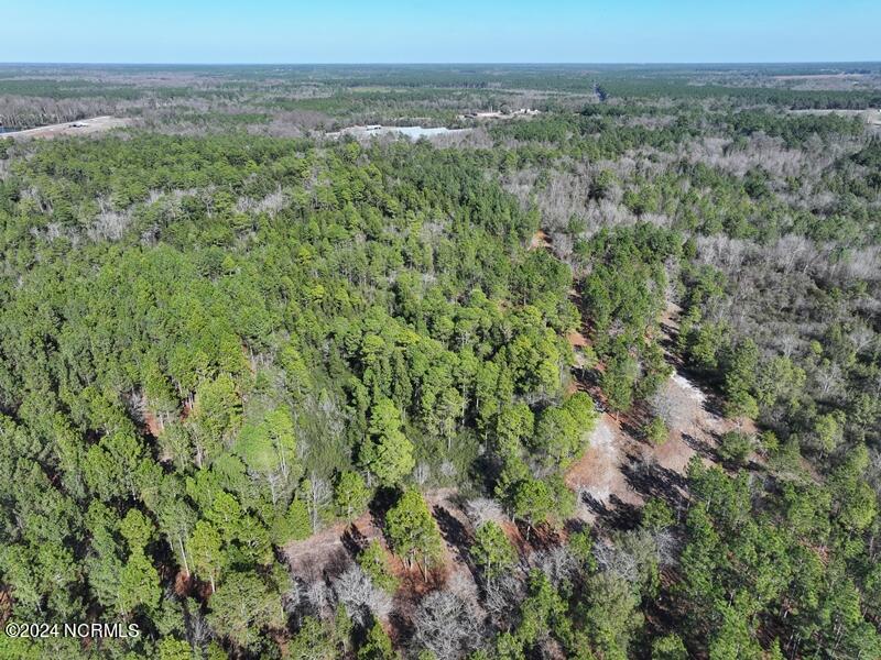 Tbd Tbd Canady Road Harrells, NC 28444 - Photo 7 of 24 DJI_20240201140942_0081_D