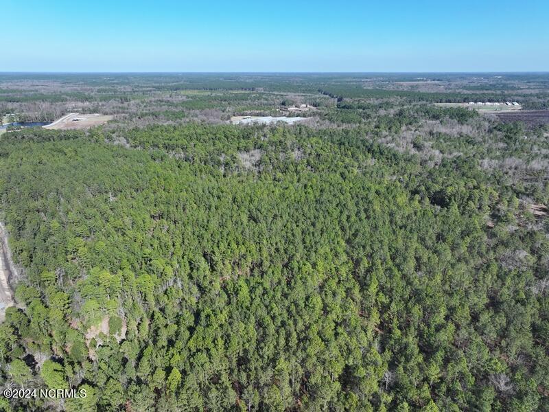 Tbd Tbd Canady Road Harrells, NC 28444 - Photo 8 of 24 DJI_20240201141808_0091_D
