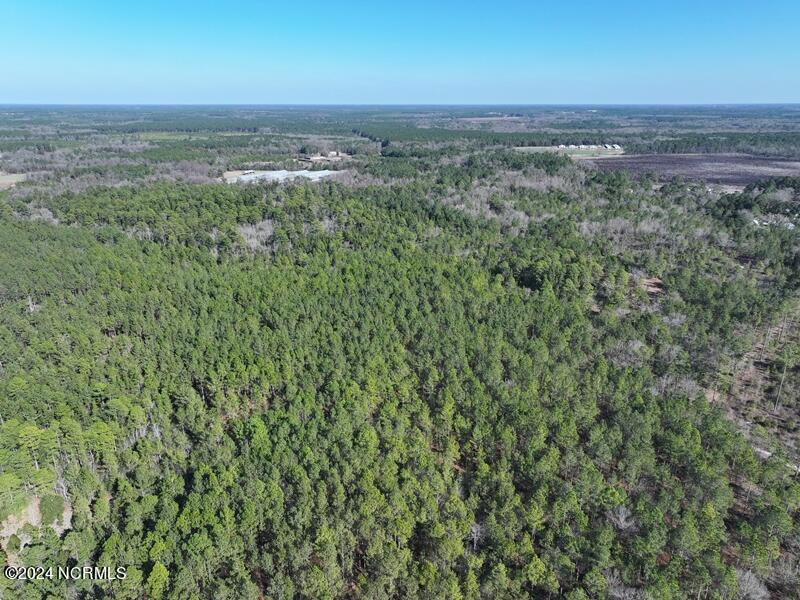 Tbd Tbd Canady Road Harrells, NC 28444 - Photo 9 of 24 DJI_20240201141815_0094_D