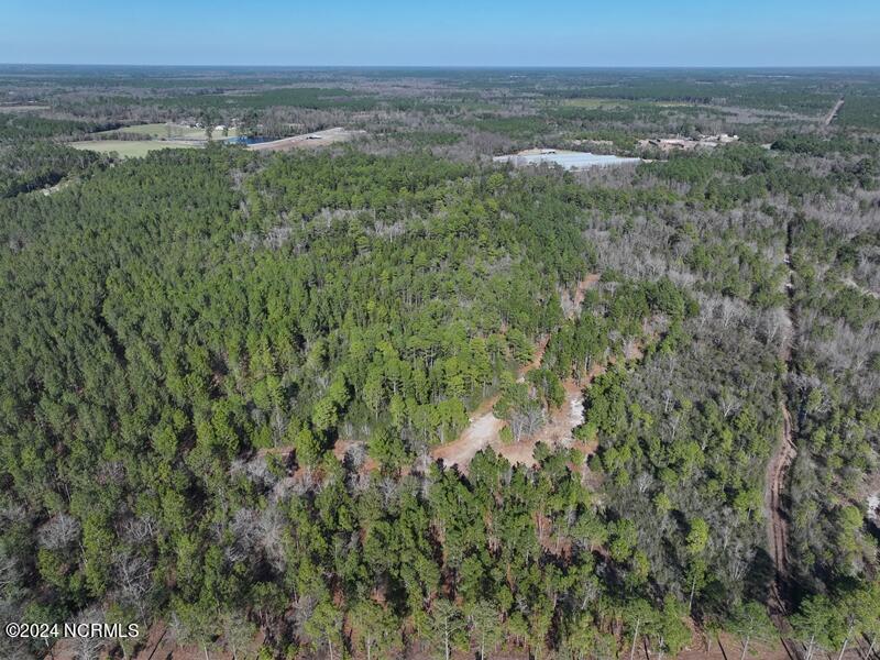 Tbd Tbd Canady Road Harrells, NC 28444 - Photo 10 of 24 DJI_20240201142140_0102_D