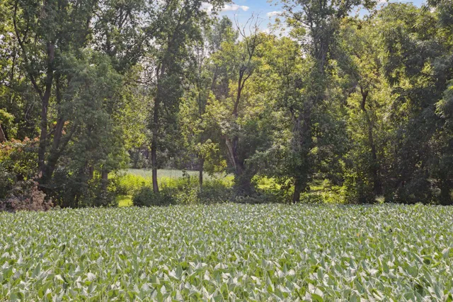 $950,000 | 24-x1 Holy Name Drive, Wayzata, MN 55391