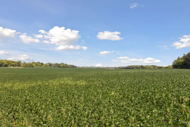 $950,000 | 24-x1 Holy Name Drive, Wayzata, MN 55391