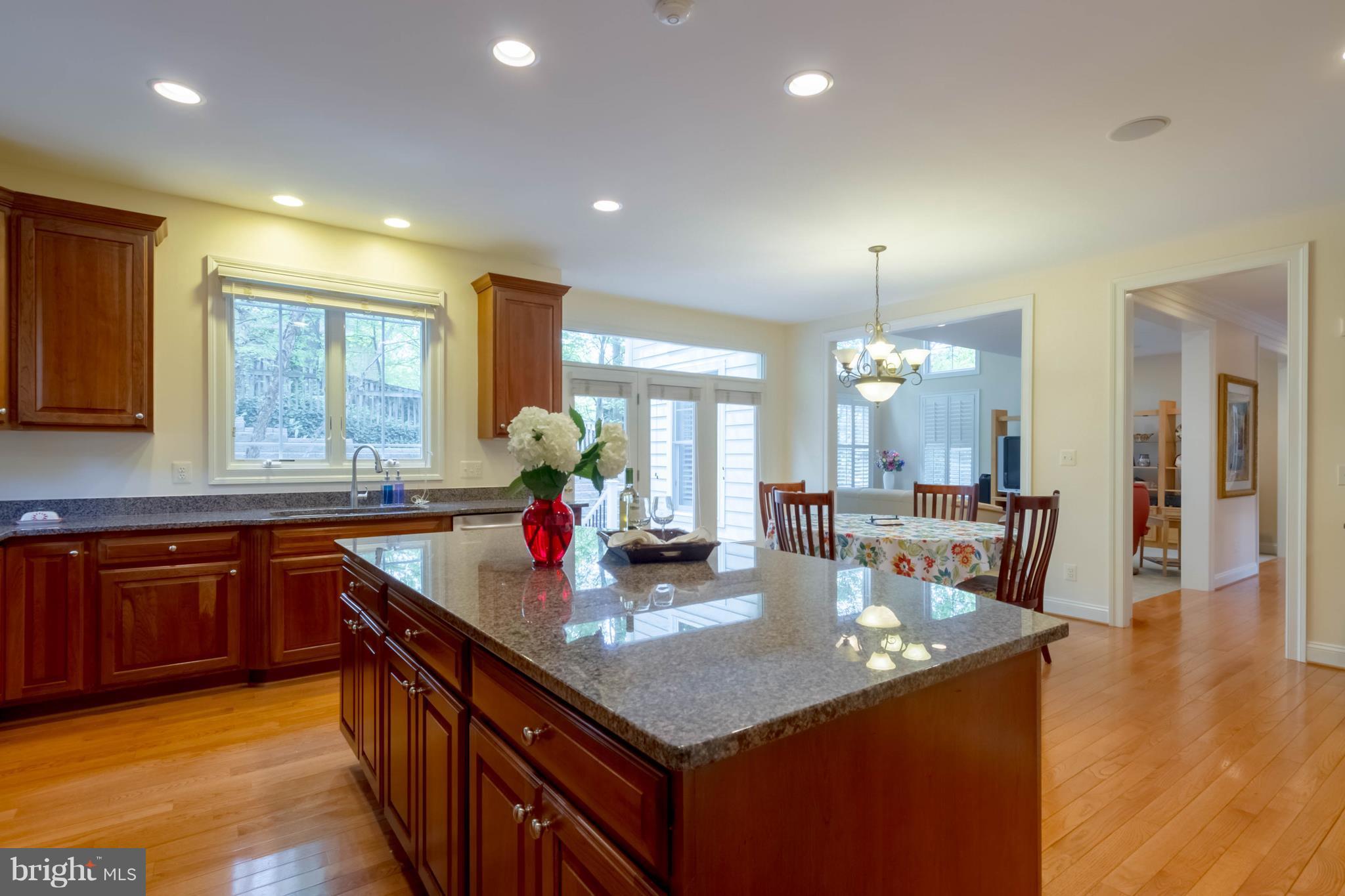 9155 Riesley Lane Vienna, VA 22182 - Photo 21 of 30 Upgraded granite