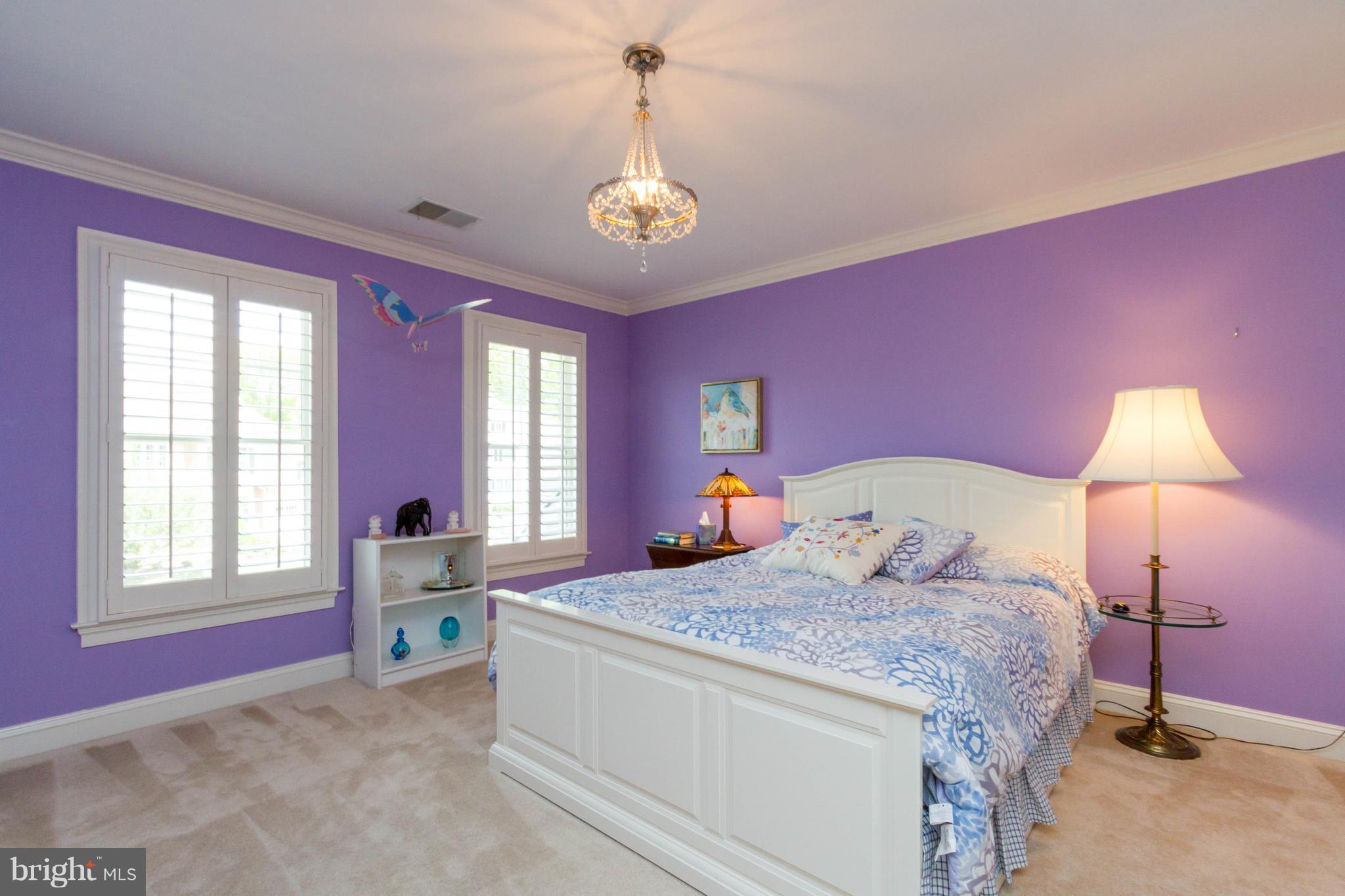 9155 Riesley Lane Vienna, VA 22182 - Photo 27 of 30 Princess Suite with full Bath