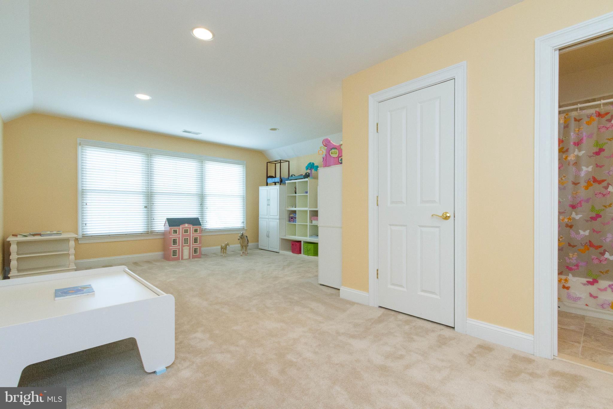 9155 Riesley Lane Vienna, VA 22182 - Photo 28 of 30 4th lvl huge Bedroom & full Bath