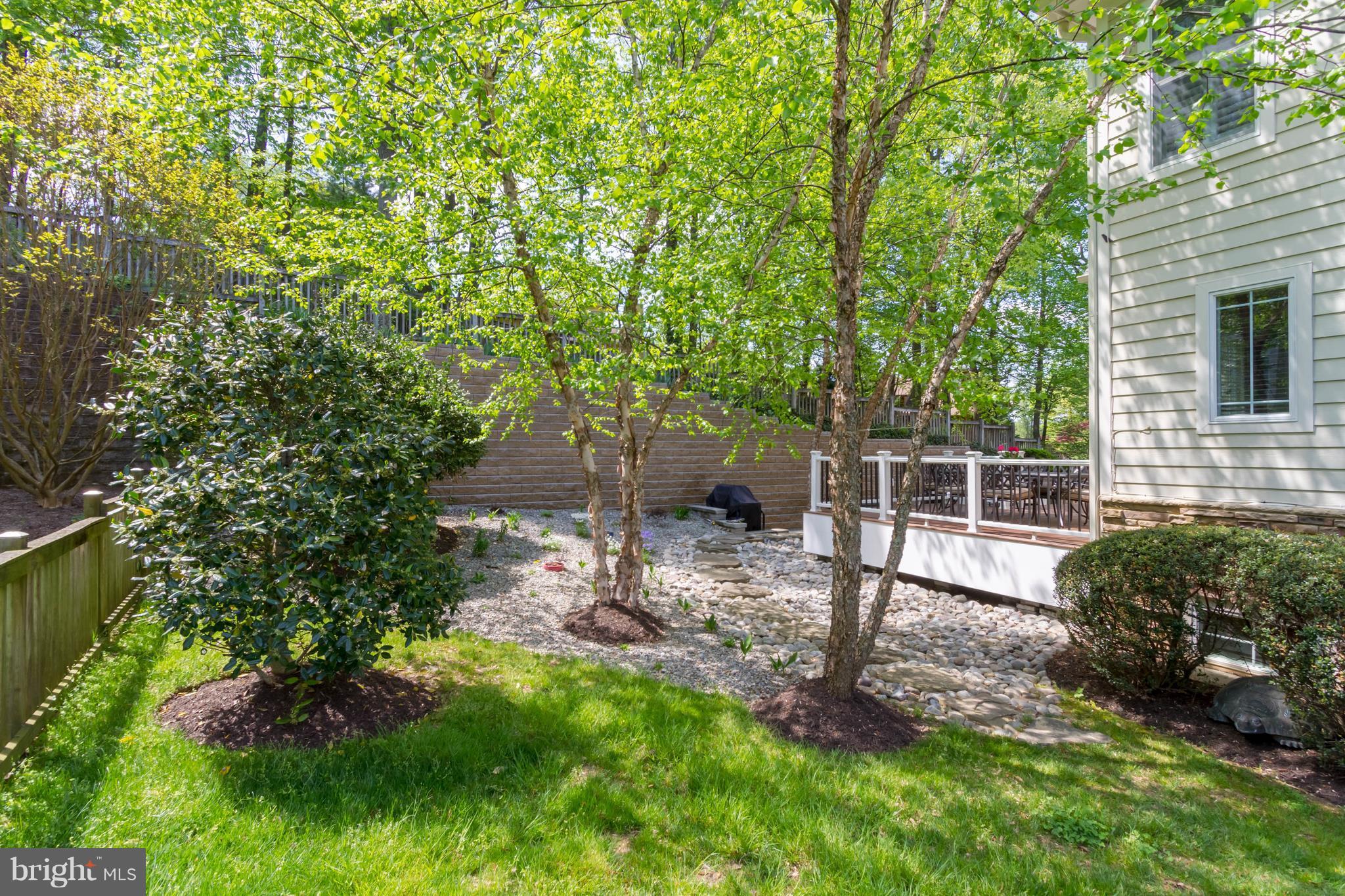 9155 Riesley Lane Vienna, VA 22182 - Photo 4 of 30 Gorgeous professional landscaping