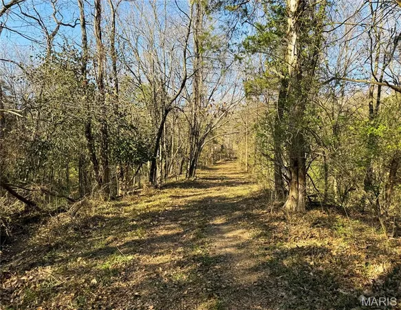 $216,000 | 94 South Highway 94, Augusta, MO 63332