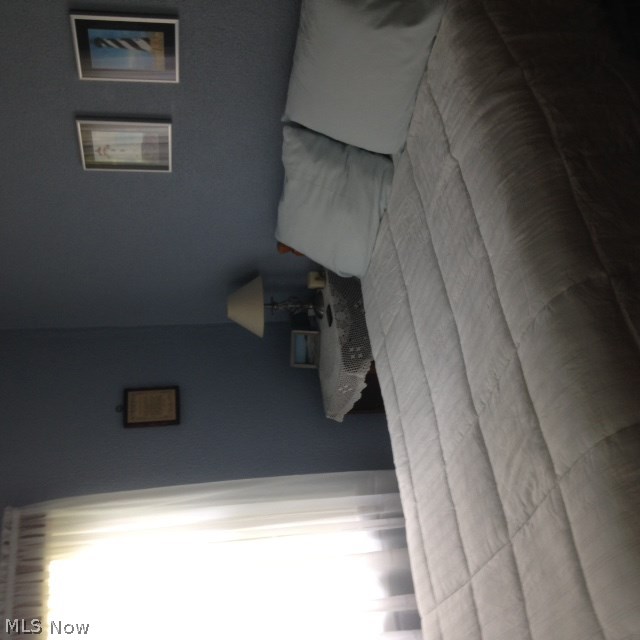 546 Niles Vienna Road Vienna, OH 44473 - Photo 15 of 21 Gallery Image 15
