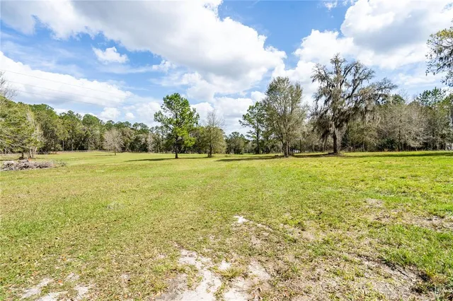 a view of a green field with an trees