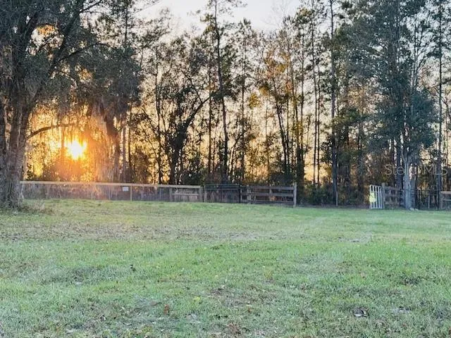 a view of a yard with a trees