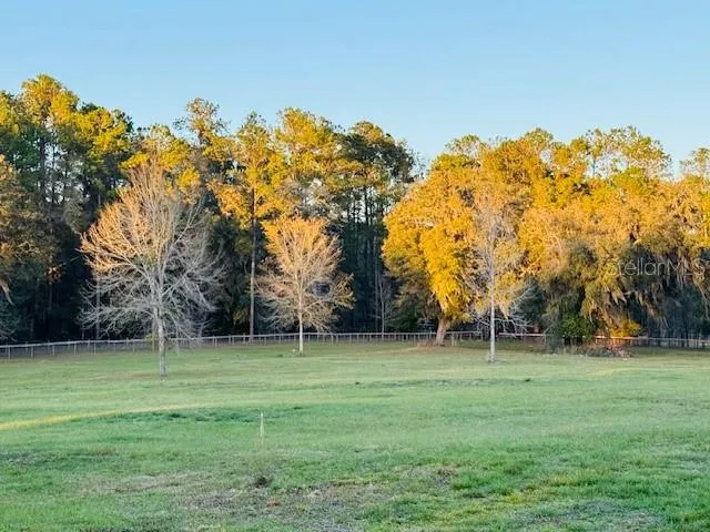 a backyard of a house with lots of green space