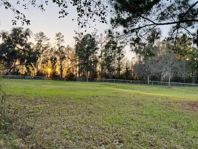 a view of a field of grass and trees
