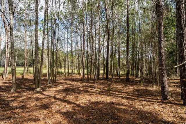 a view of backyard with green space