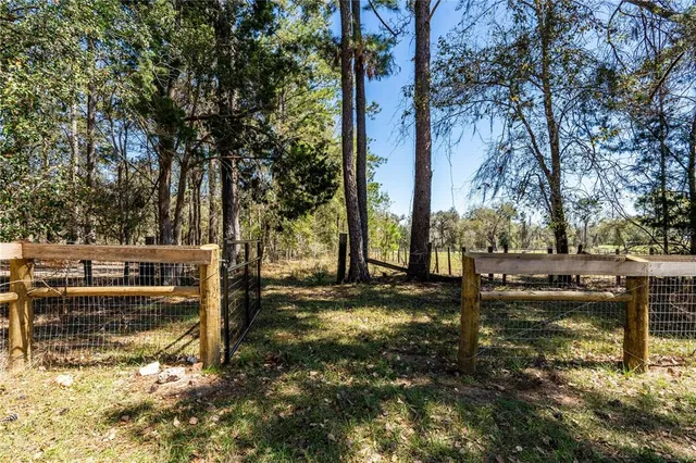 a view of a yard with trees