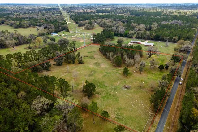 a view of yard with trees
