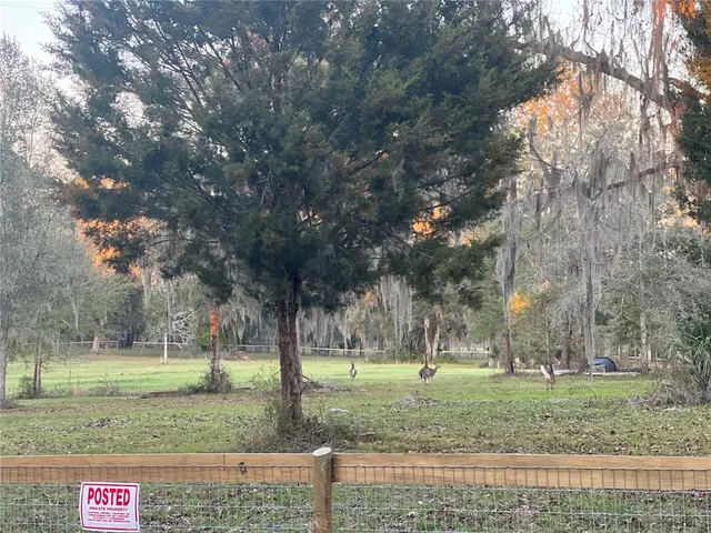 a view of outdoor space with trees all around