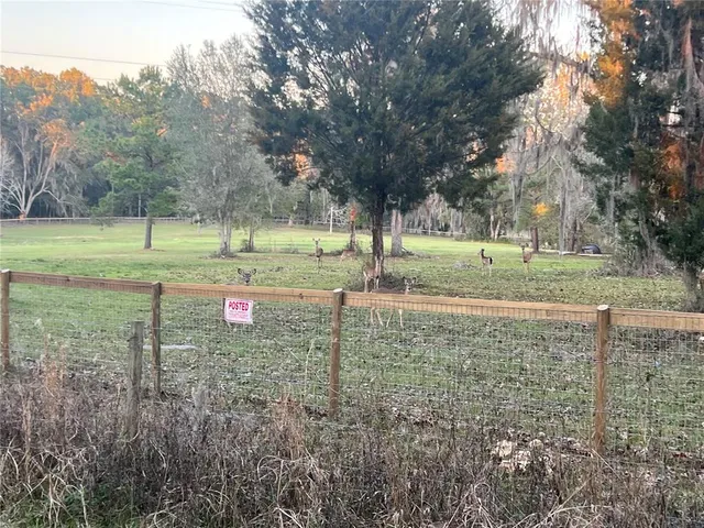 a view of a backyard with trees