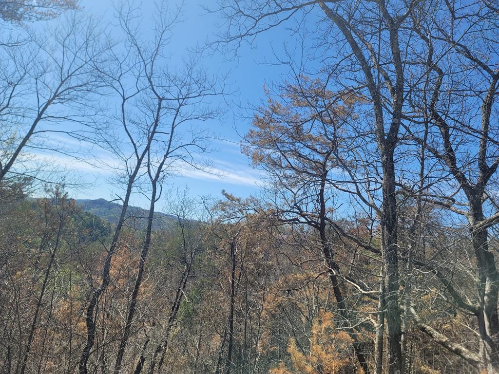 4 River Bend Way Sevierville, TN 37862 - Photo 1 of 21