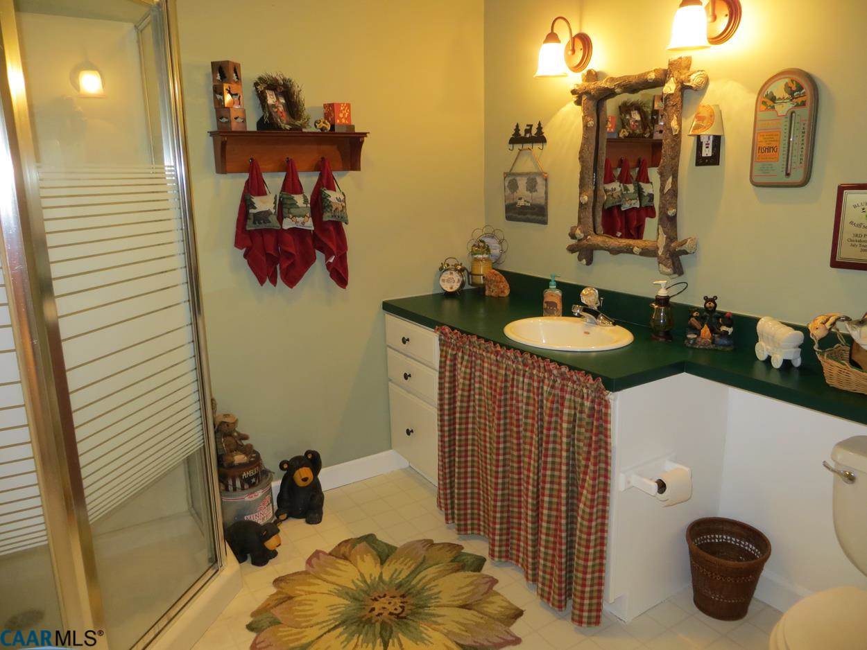 315 Grassmere Road Charlottesville, VA 22903 - Photo 22 of 32 a bathroom with a sink and a mirror