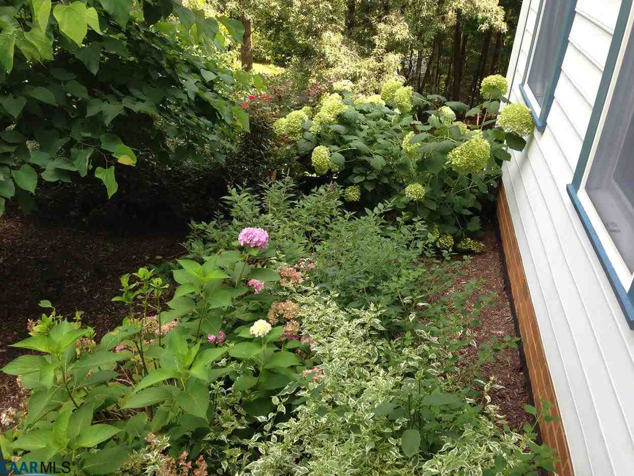 315 Grassmere Road Charlottesville, VA 22903 - Photo 28 of 32 a view of flowers in the yard