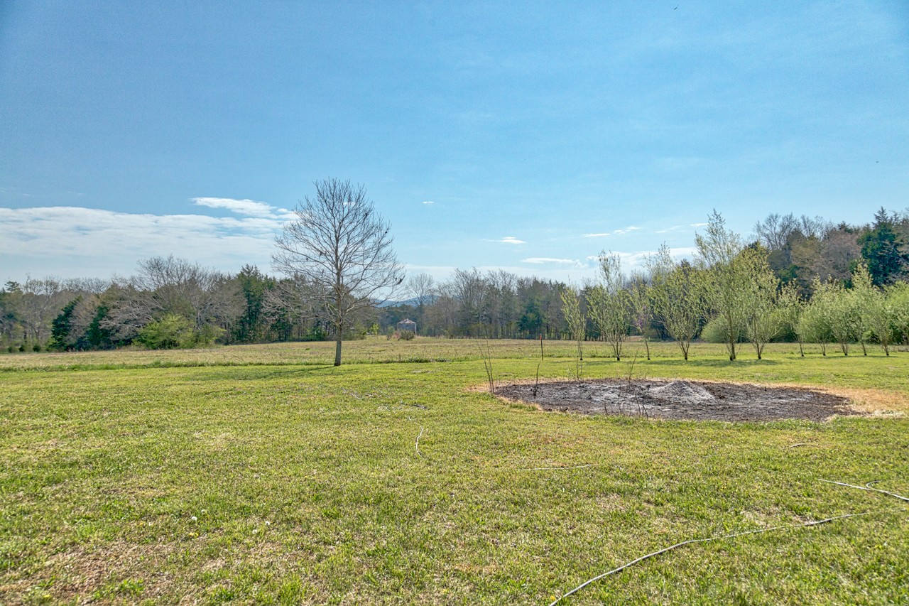 8036 Rhodes Lane Lascassas, TN 37085 - Photo 8 of 23 Gallery Image 8