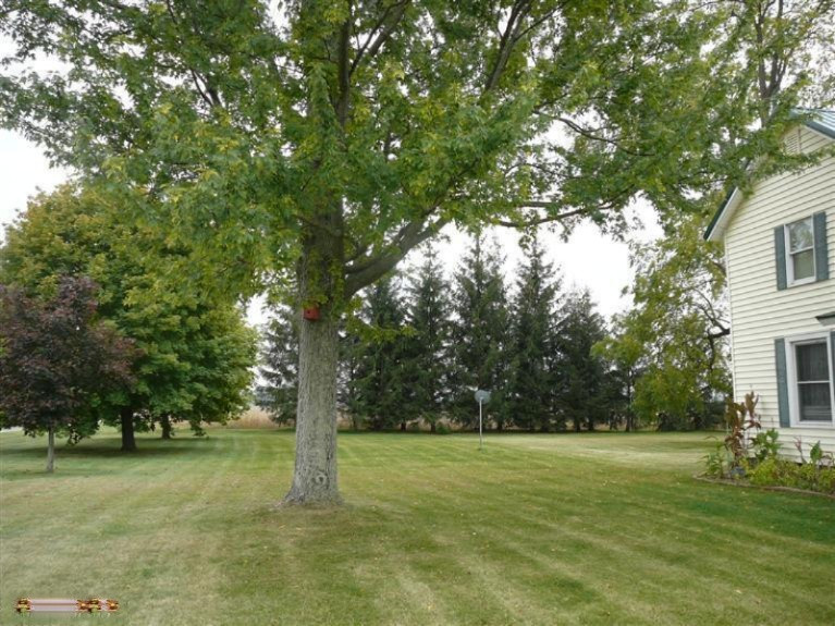 664 Dutch School Road Bronson, MI 49028 - Photo 20 of 24 Additional Photo