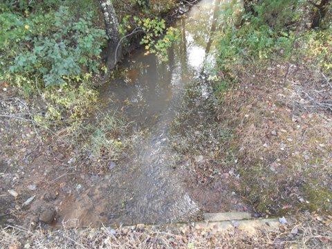 1055 Cty Road Higdon, AL 35979 - Photo 9 of 24